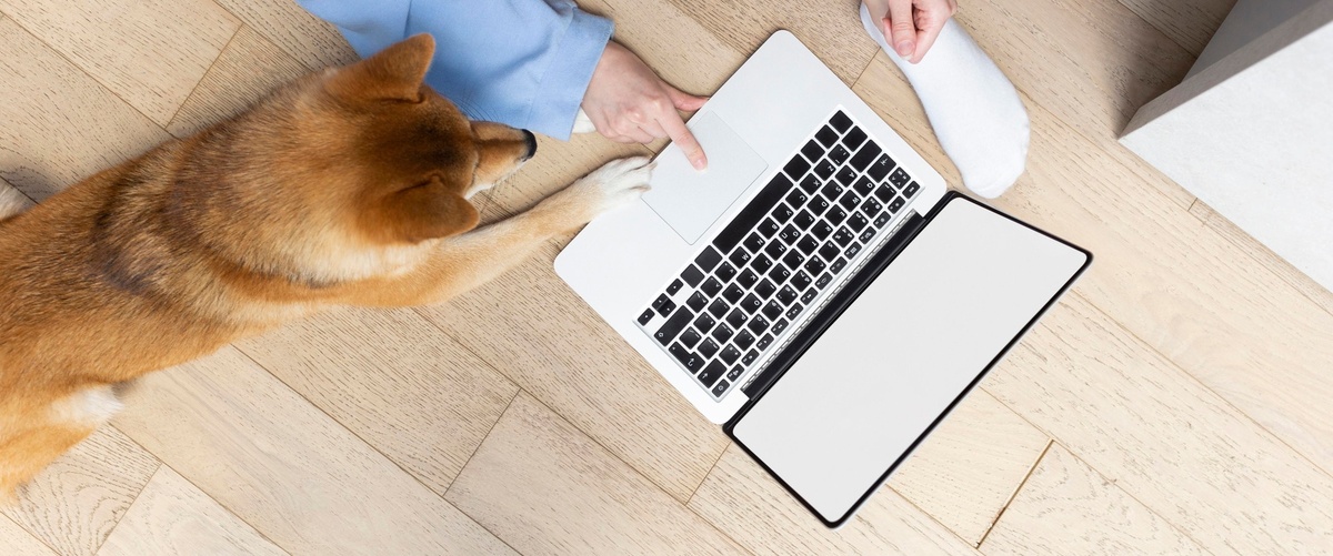 Coberturas, precios y contratación de seguro de responsabilidad civil para mascotas
