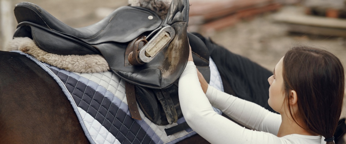 Coberturas y opiniones del seguro para caballos de Zurich