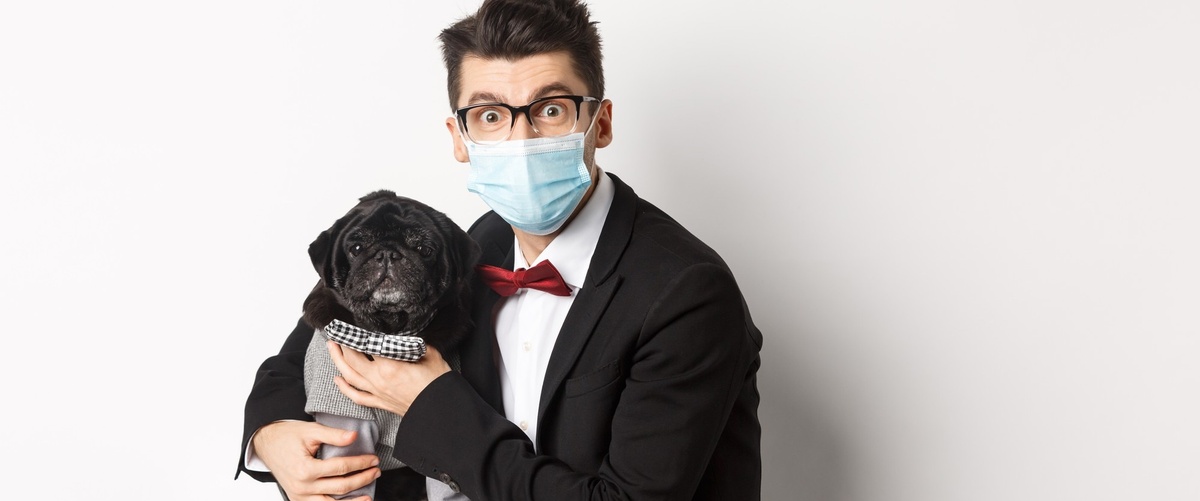 Los mejores seguros para mascotas: coberturas y precios del seguro de mascotas más adecuado para ti.