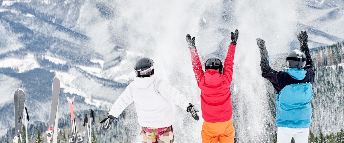 Opciones, precios y opiniones del seguro de esquí por días