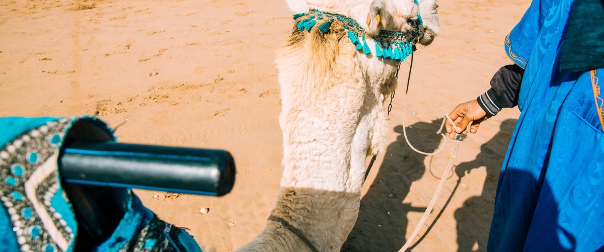 Seguro de viaje a Marruecos